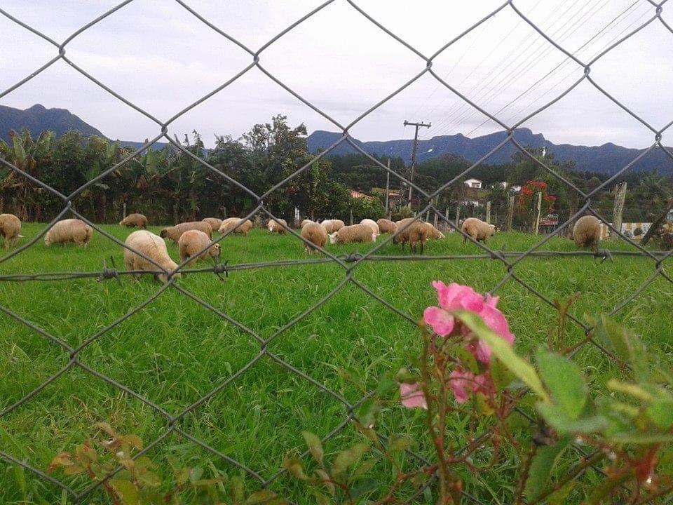 Casa Di Pecora - Pousada Rural لاورو مولر المظهر الخارجي الصورة